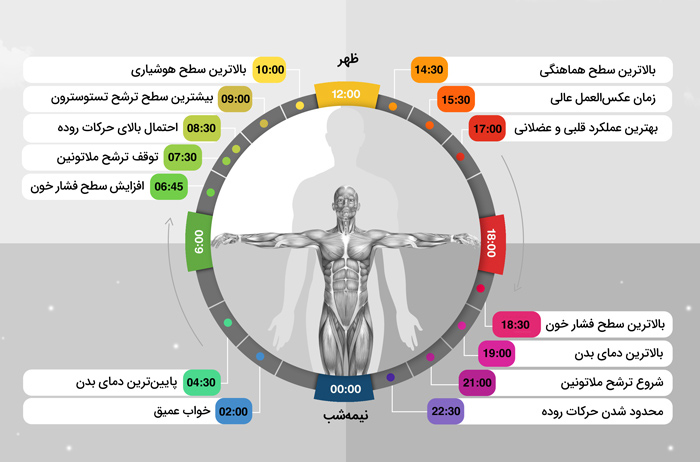 بهترین زمان ورزش کردن